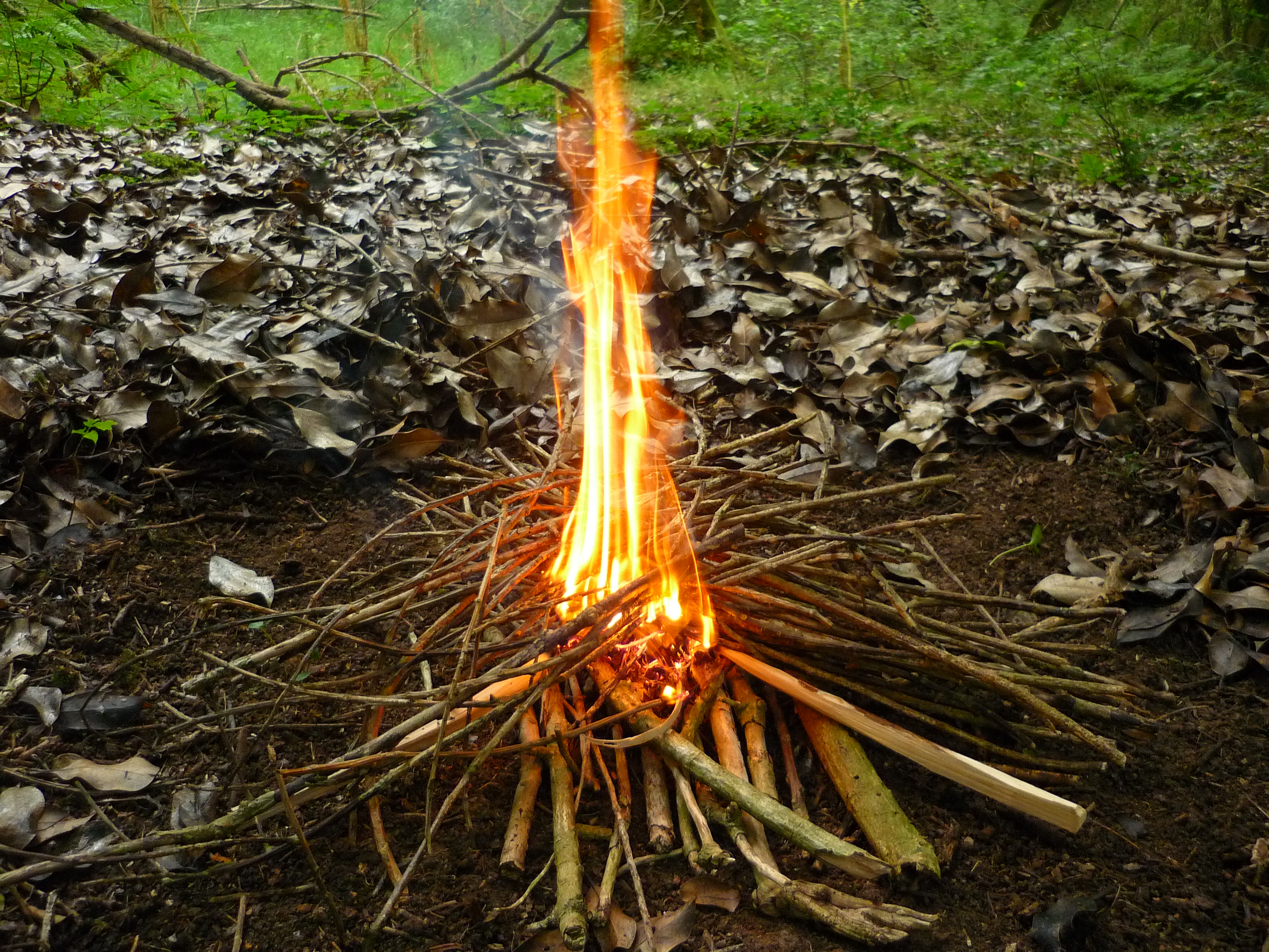 Bushcraft Tools – SECATEURS