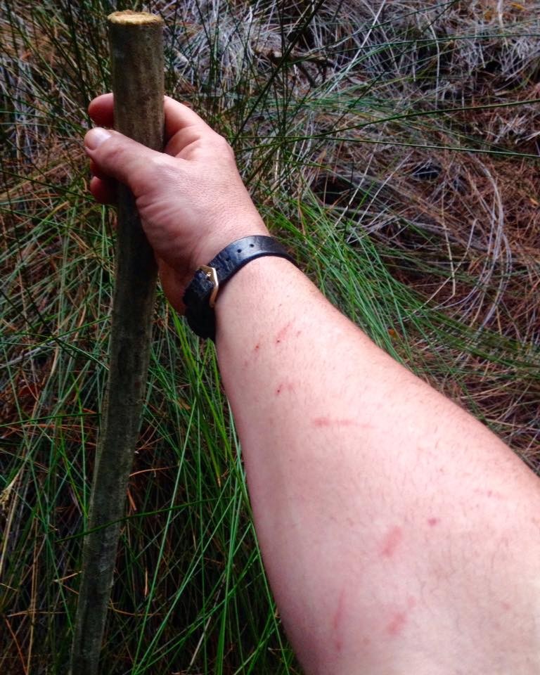 Bushcraft in Ireland 