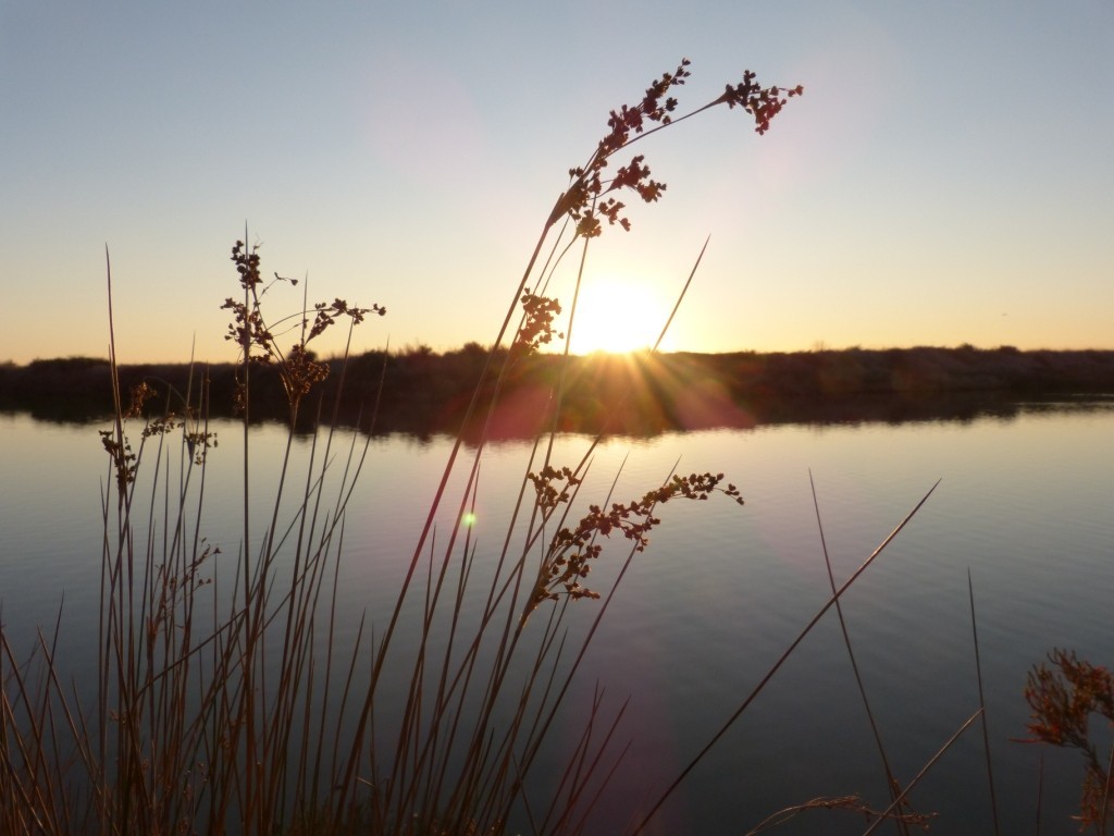 Gilet de course Sunriser 8