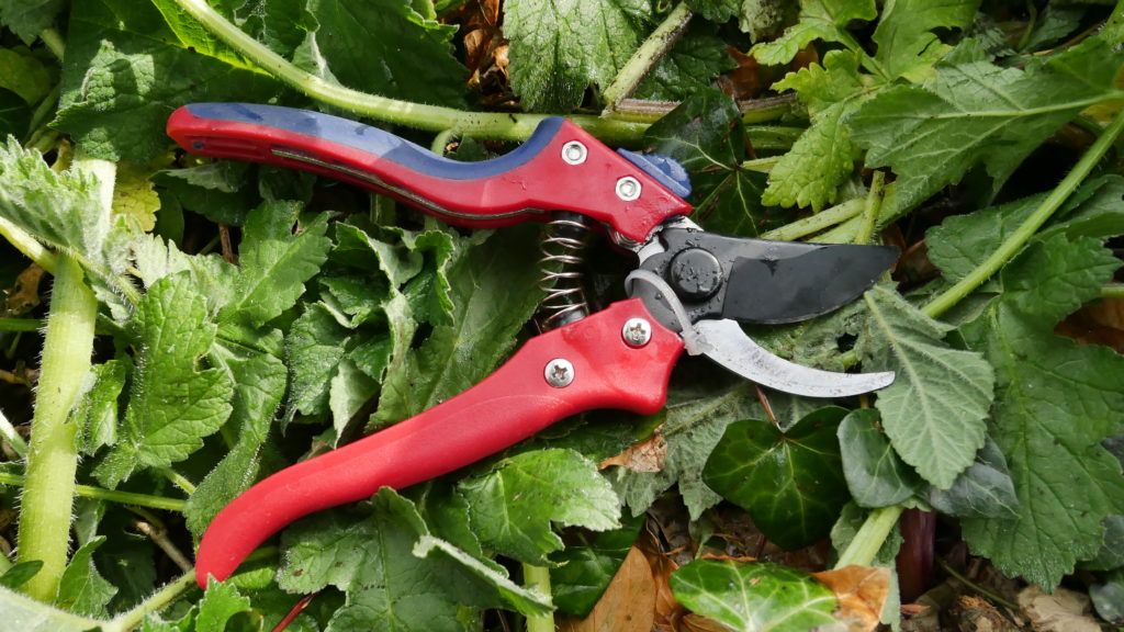 Bushcraft Tools – SECATEURS